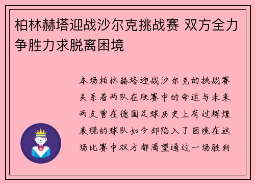 柏林赫塔迎战沙尔克挑战赛 双方全力争胜力求脱离困境